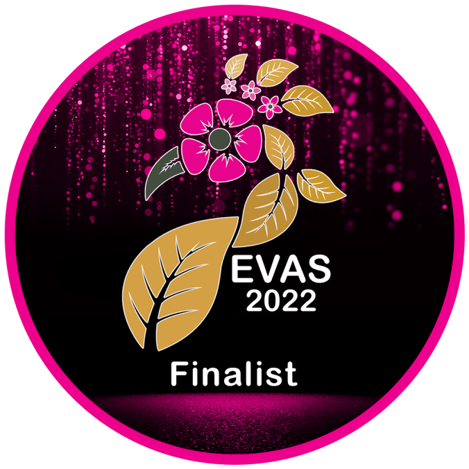 Enterprise Vision Award finalist 2012 2013 and 2019